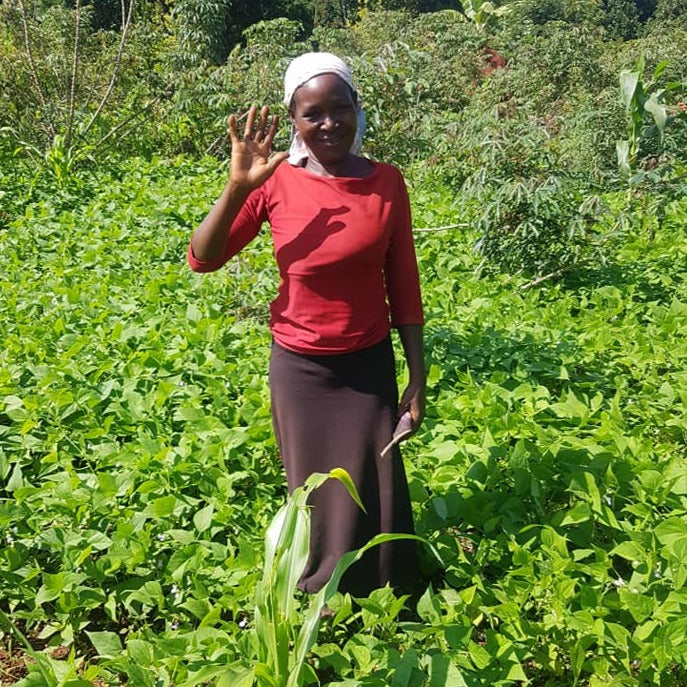 Agriculture and Entrepreneurship in Uganda