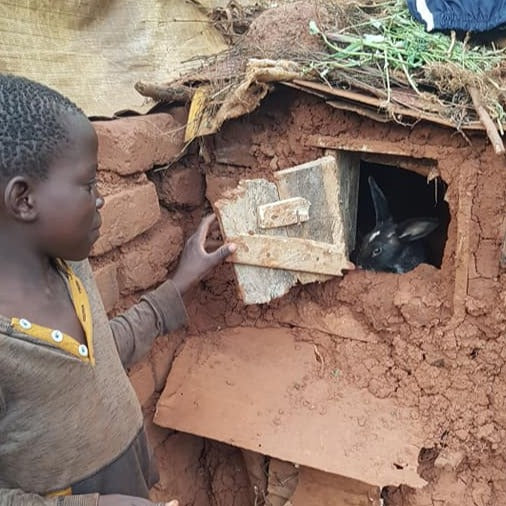 Agriculture and Entrepreneurship in Uganda